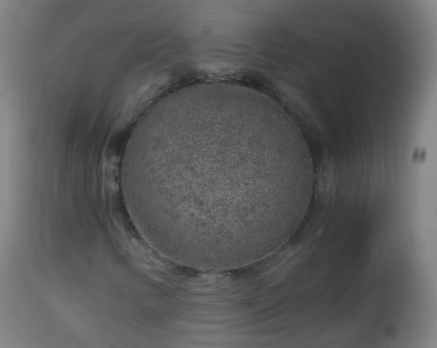 X0000112881346200908281627