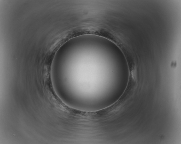 X0000112881347200908281627