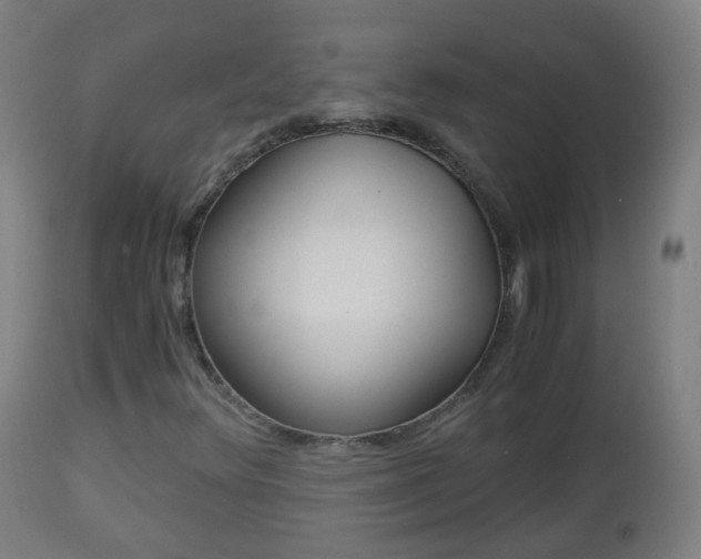 X0000112881348200908281627