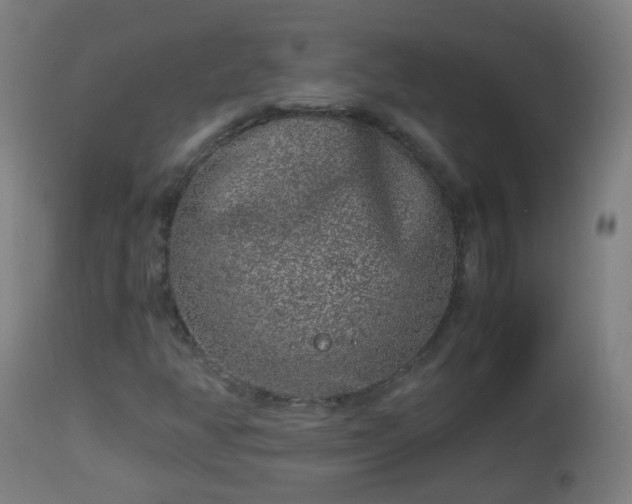 X0000112881350200908281627