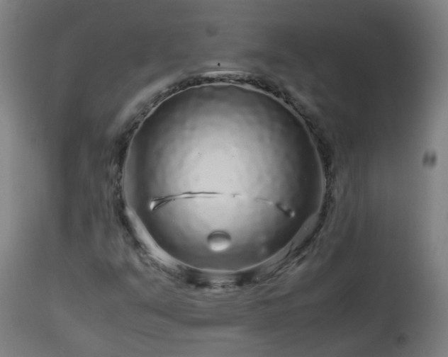 X0000112881351200908281627