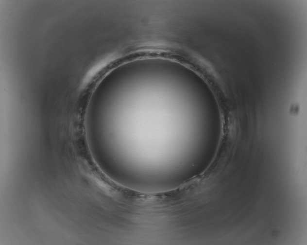 X0000112881352200908281627