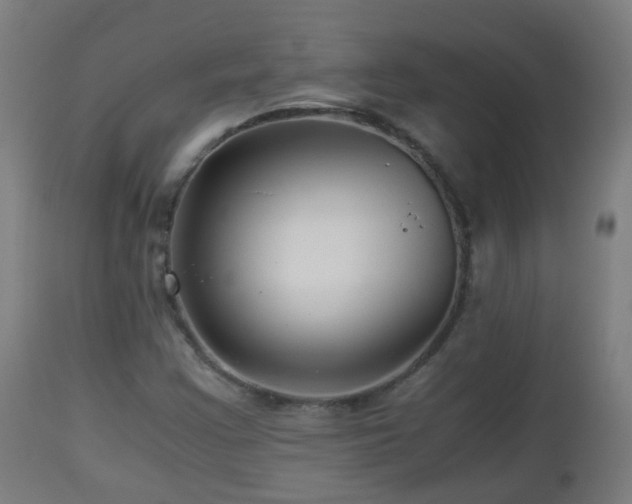 X0000112881355200908281627