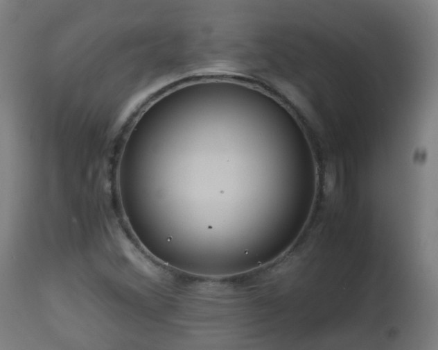 X0000112881356200908281627