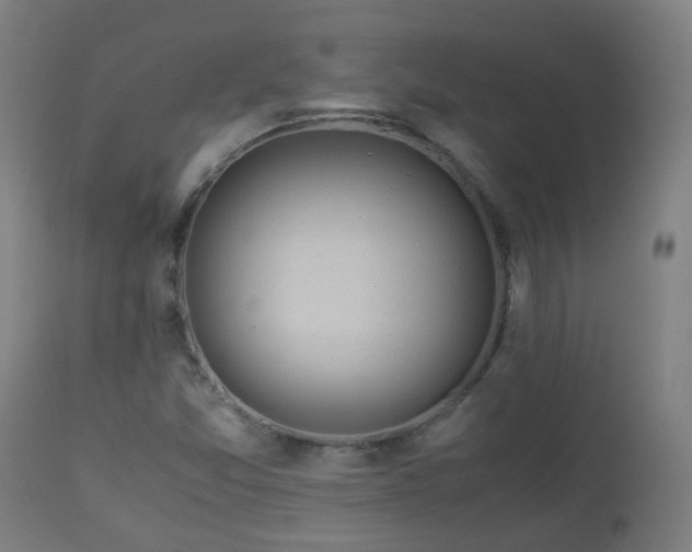 X0000112881357200908281627