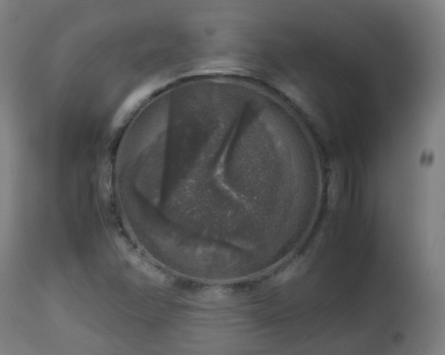 X0000112881358200908281627