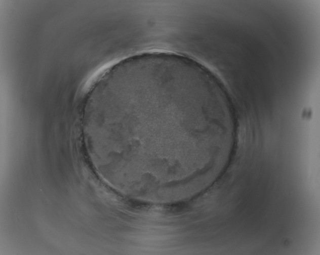 X0000112881359200908281627