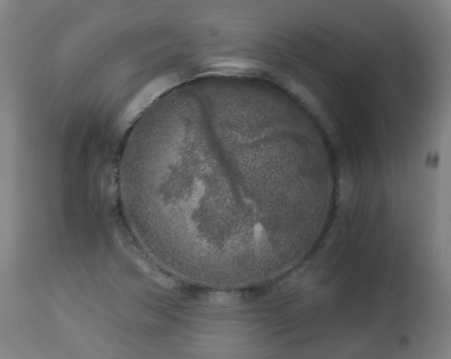 X0000112881362200908281627