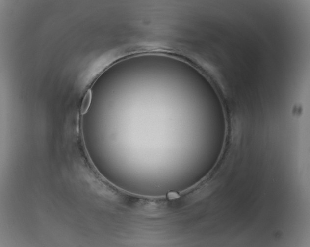 X0000112881365200908281627