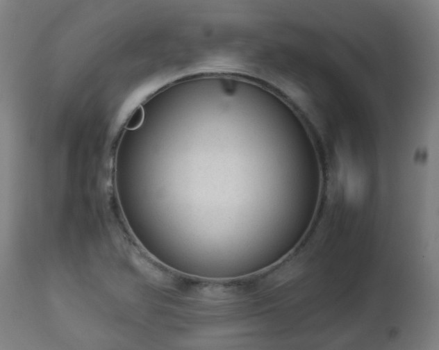 X0000112881366200908281627