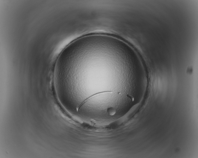 X0000112881367200908281627