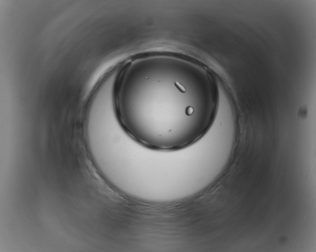 X0000112881368200908281627