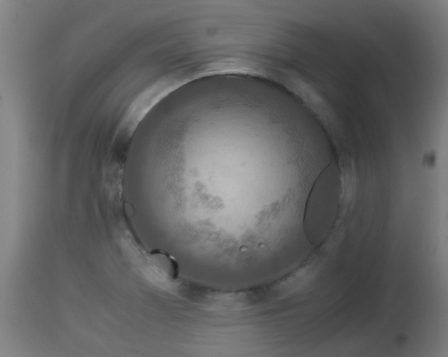 X0000112881369200908281627