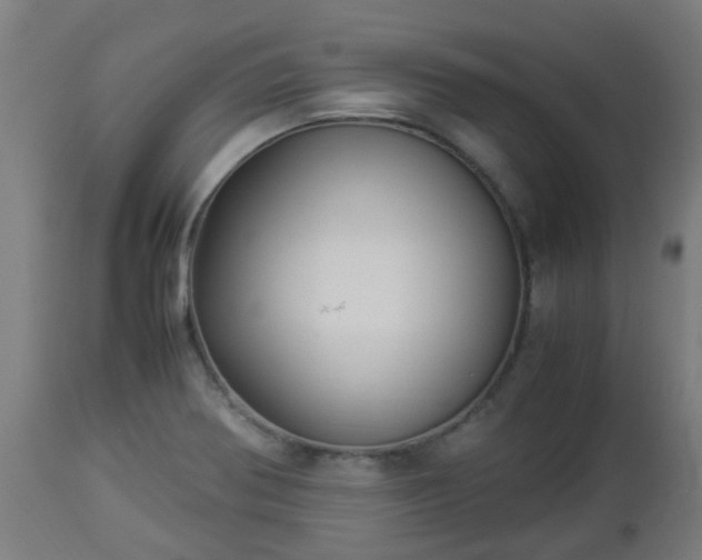 X0000112881370200908281627