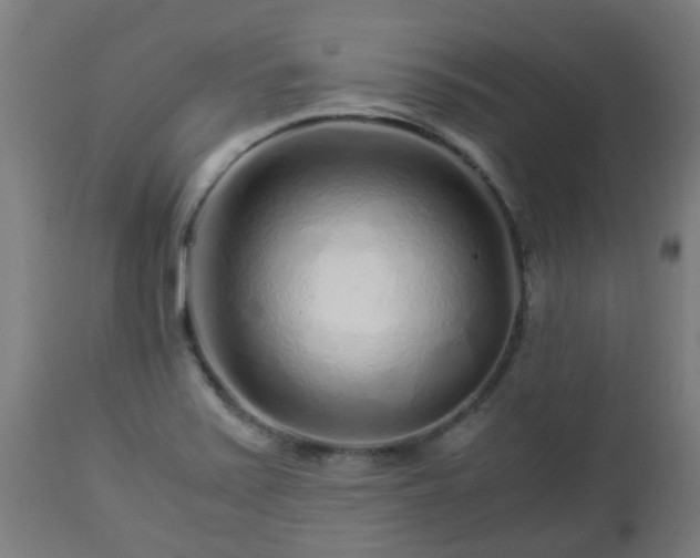 X0000112881371200908281627