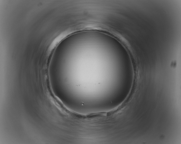 X0000112881373200908281627