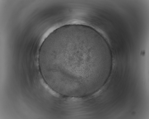 X0000112881374200908281626