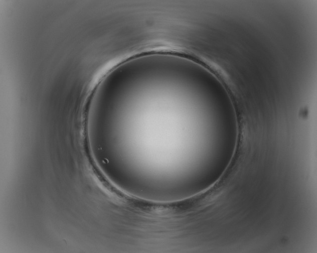 X0000112881375200908281626