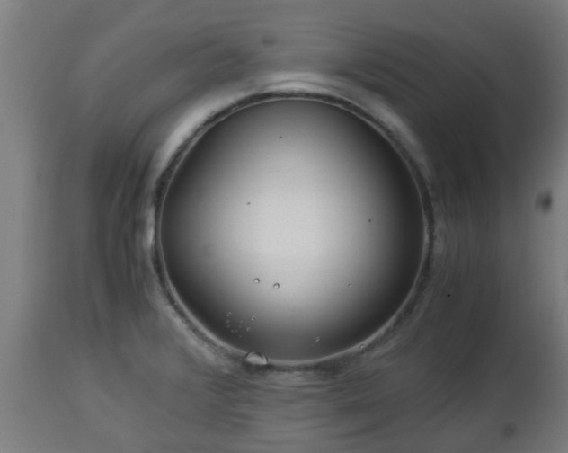 X0000112881376200908281626