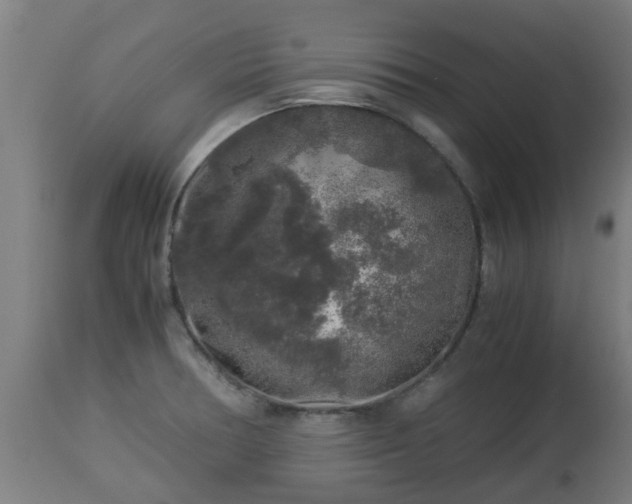 X0000112881378200908281626