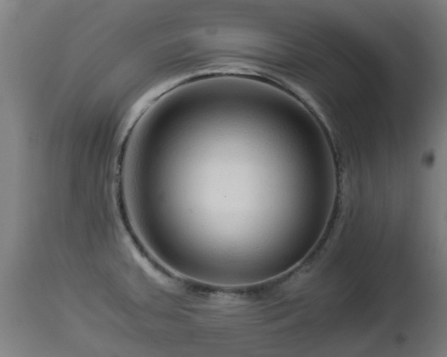 X0000112881379200908281626