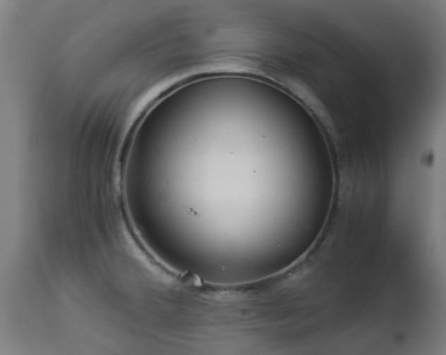 X0000112881380200908281626