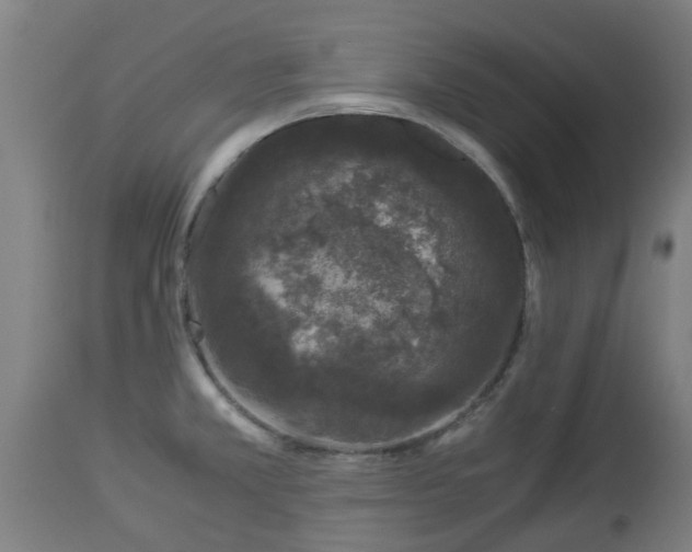 X0000112881381200908281626