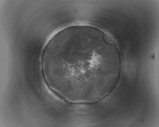 X0000112881382200908281626