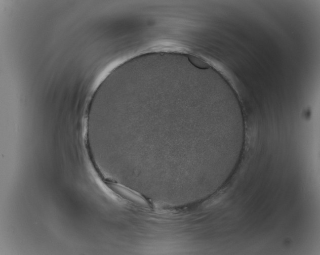 X0000112881383200908281626