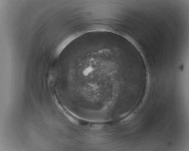 X0000112881385200908281626