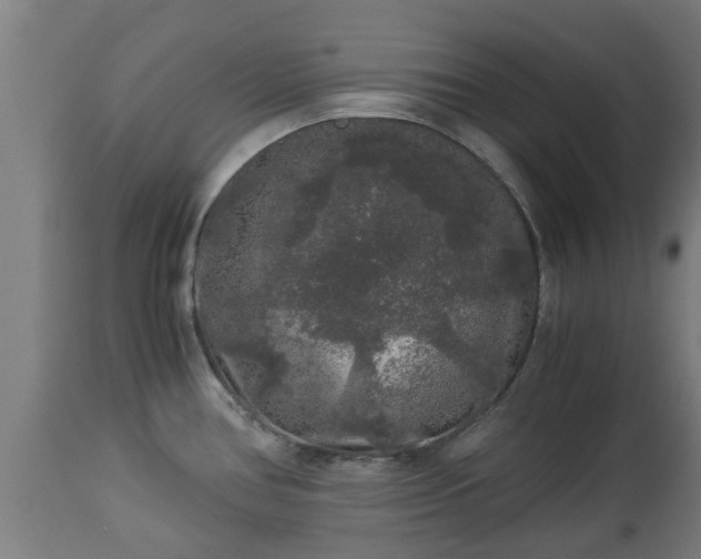 X0000112881386200908281626