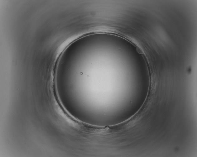 X0000112881387200908281626