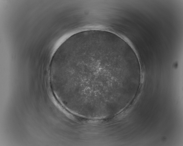 X0000112881389200908281626