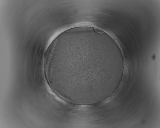 X0000112881390200908281626