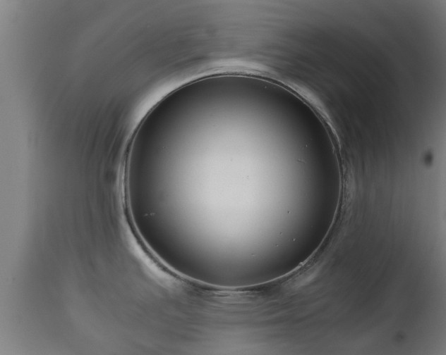 X0000112881391200908281626