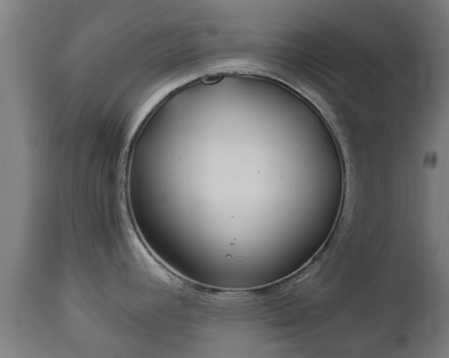 X0000112881392200908281626