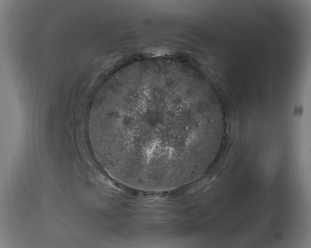 X0000112881393200908281625