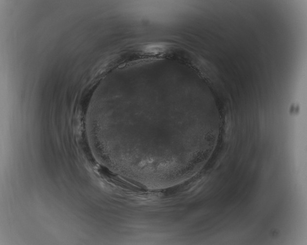 X0000112881394200908281625