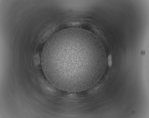 X0000112881395200908281625