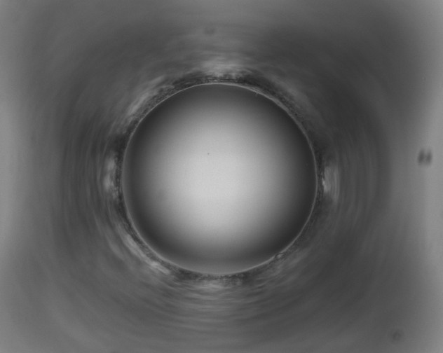 X0000112881396200908281625