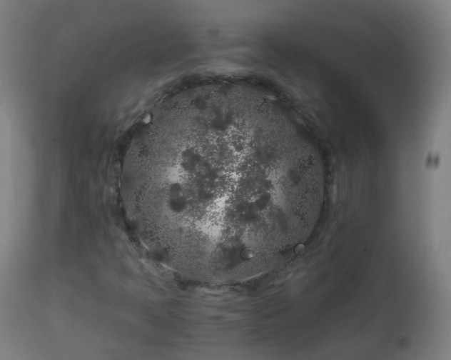 X0000112881397200908281625