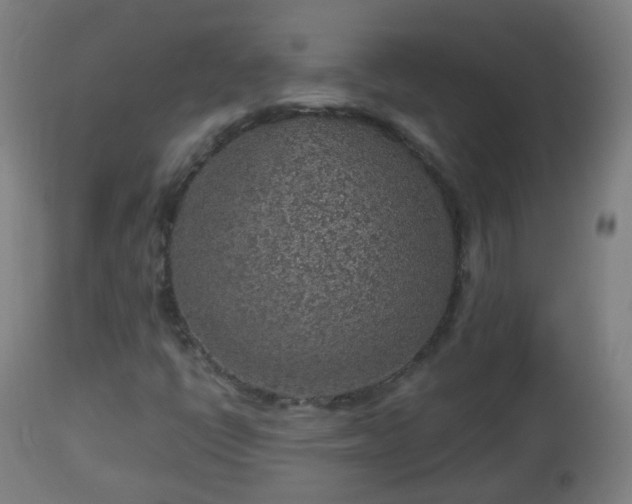 X0000112881398200908281625