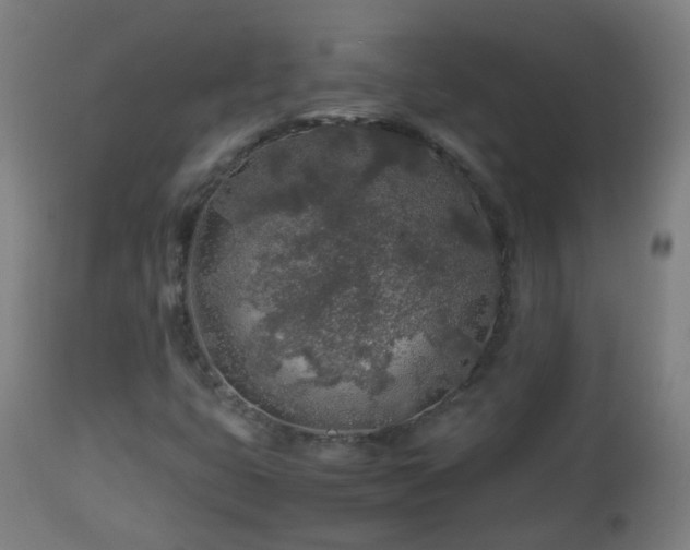 X0000112881399200908281625