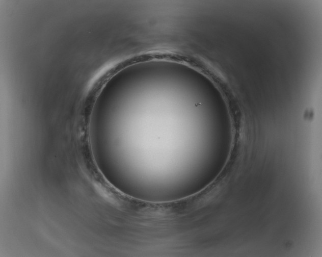 X0000112881400200908281626