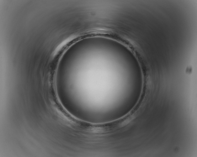 X0000112881402200908281626