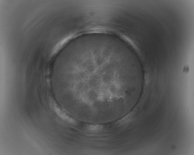 X0000112881403200908281626