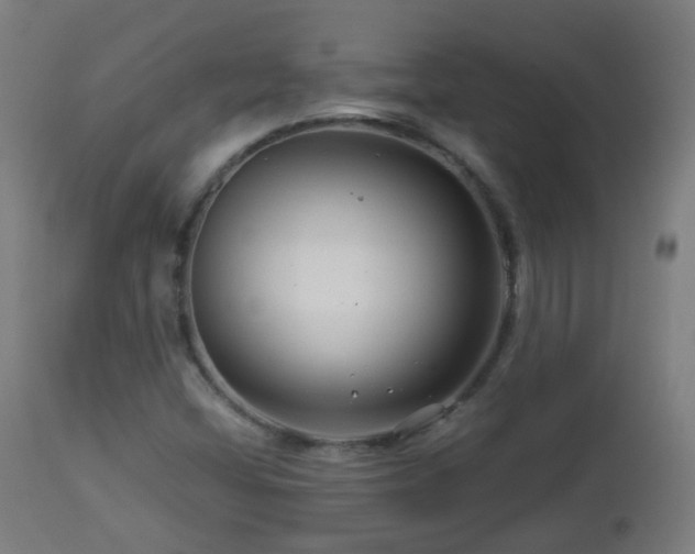 X0000112881404200908281626