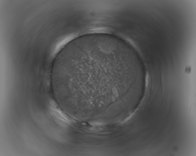 X0000112881405200908281626