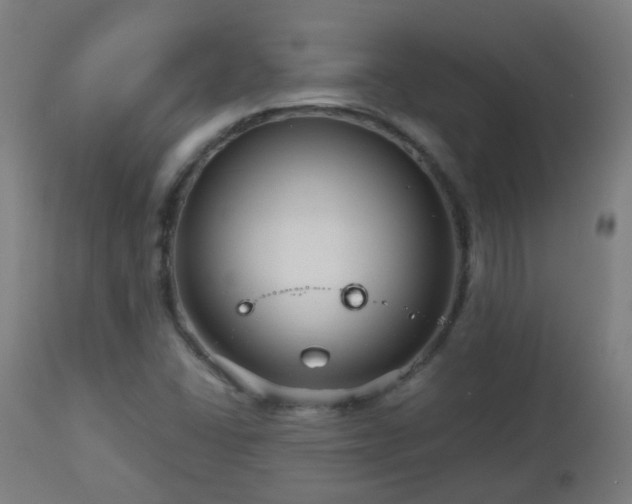 X0000112881406200908281626