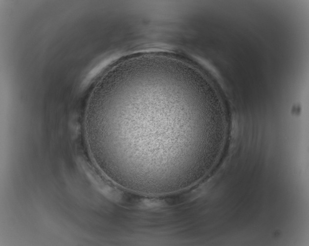 X0000112881407200908281626